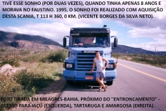 SCANIAS - TOP LINE - 1995 (10)