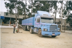 SCANIAS - TOP LINE - 1995 (6)