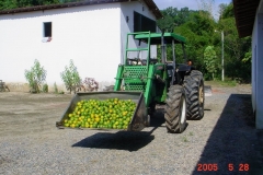 TRATOR VALTRA 785 (1)