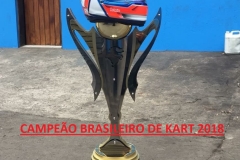 TROFÉU CAMPEÃO (3)